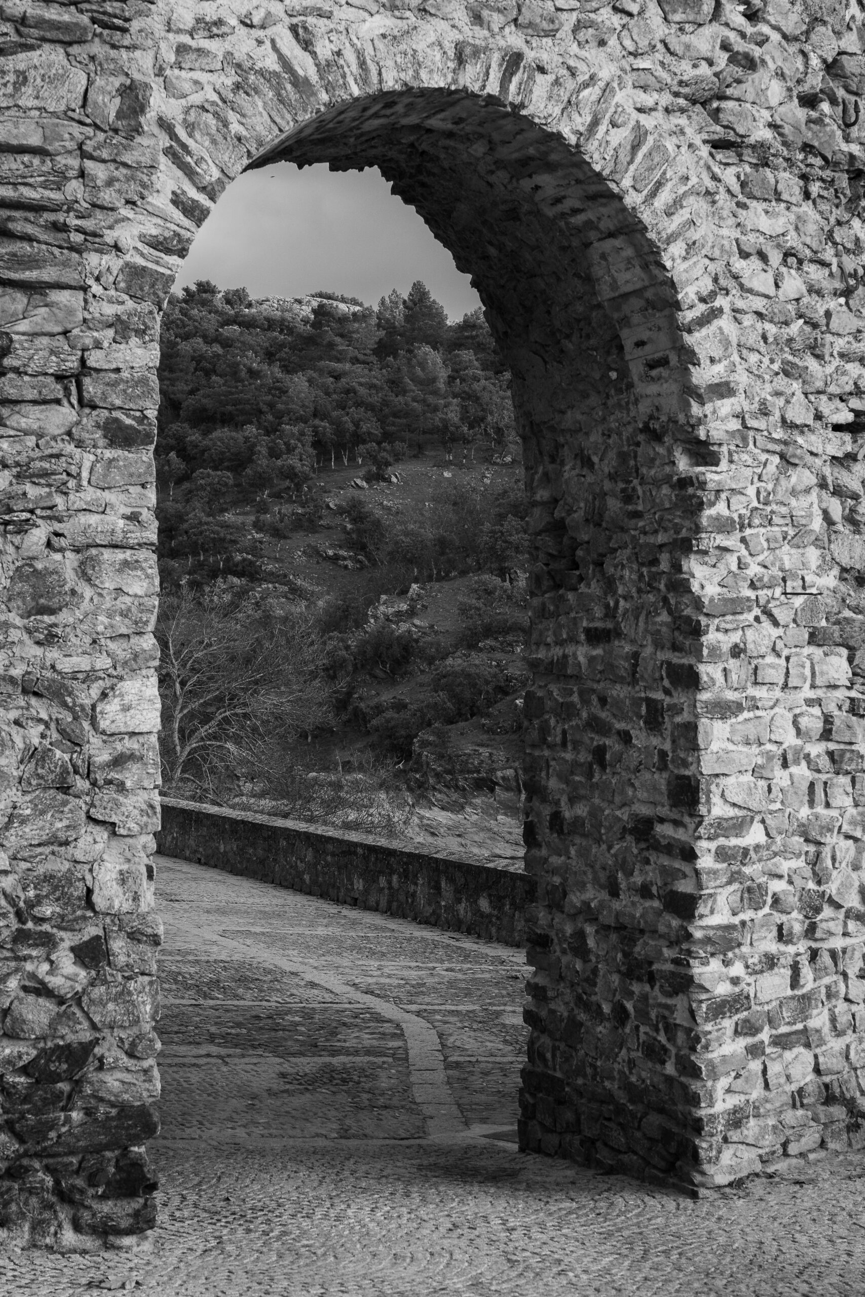 Arcos 3