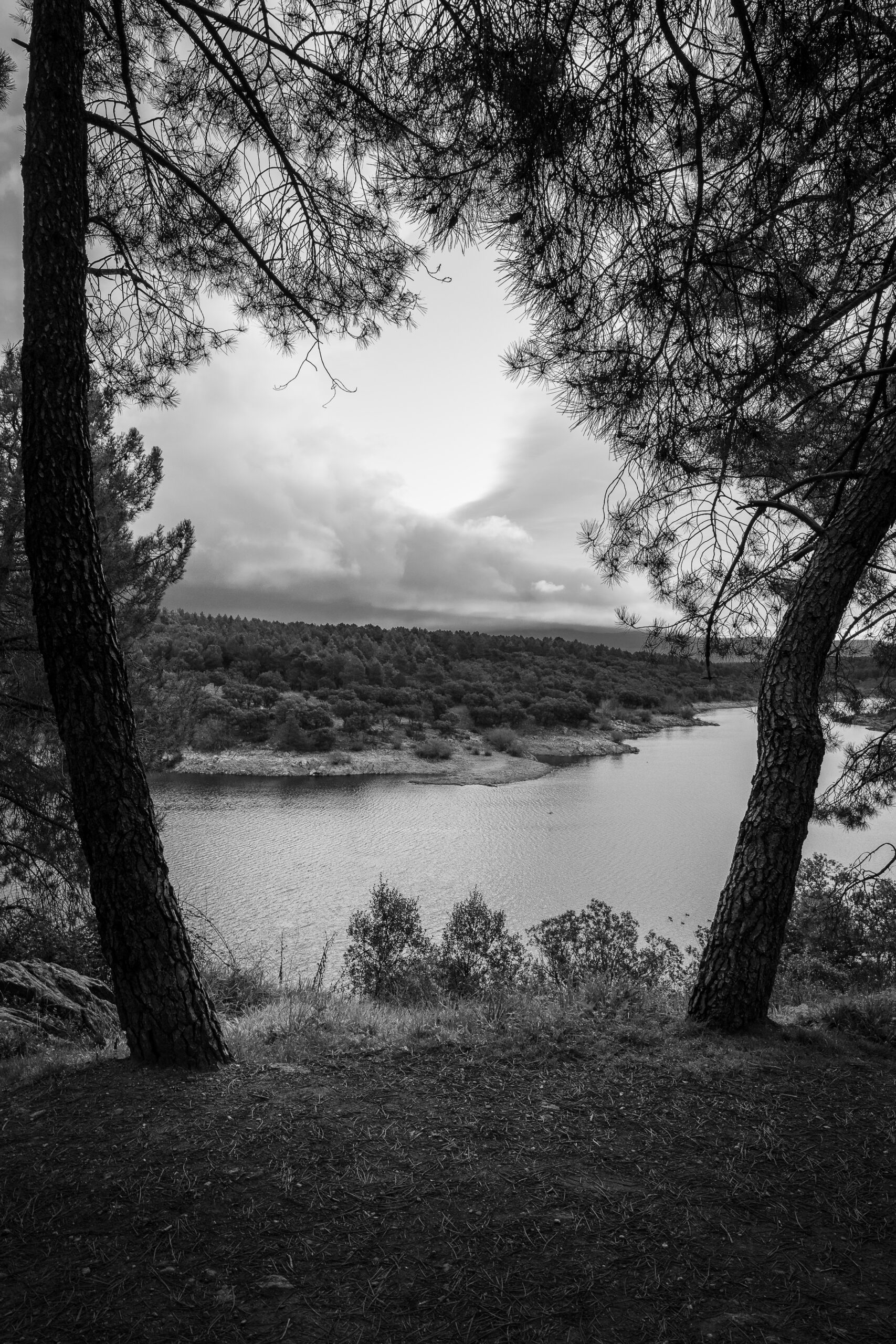 Panoramicas 8